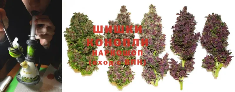 Шишки марихуана Ganja  Ревда 